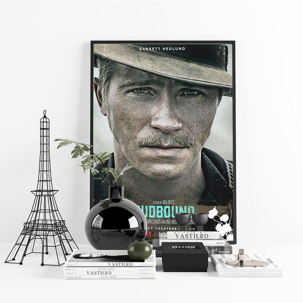 Mudbound American Historical D – Home Cinema The Drama Bewertung und Preis